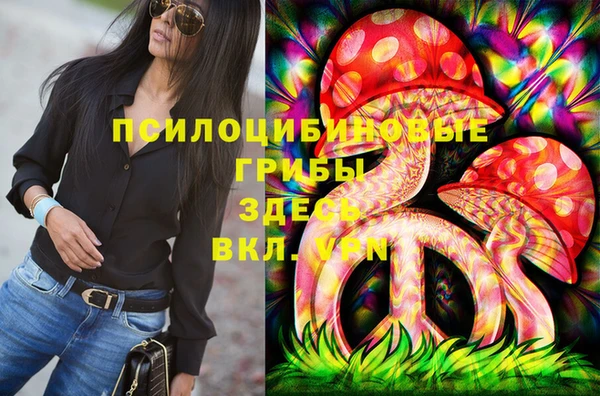 дживик Алзамай