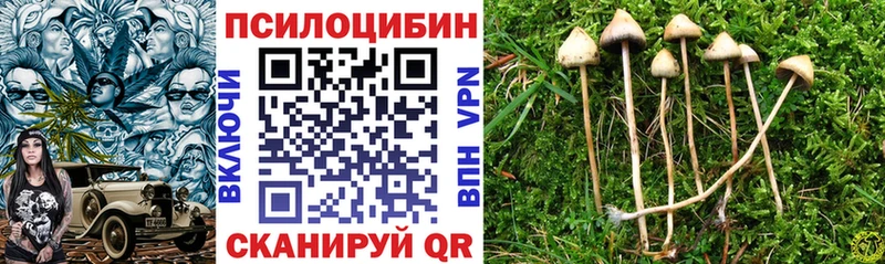 Галлюциногенные грибы MAGIC MUSHROOMS  наркотики  Бирюч 